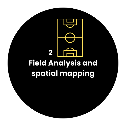 Field Analysis Icon