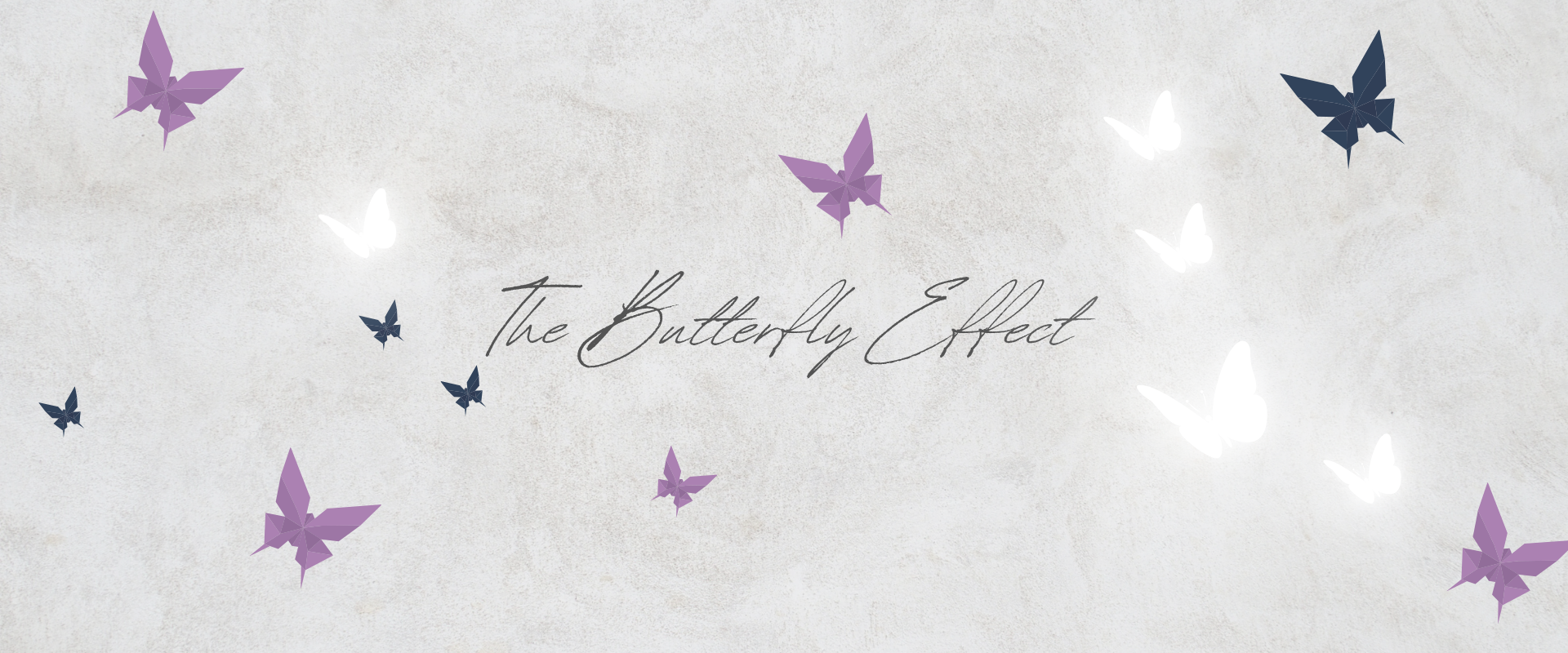 Butterfly Effect Project
